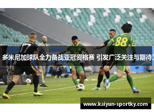 多米尼加球队全力备战亚冠资格赛 引发广泛关注与期待