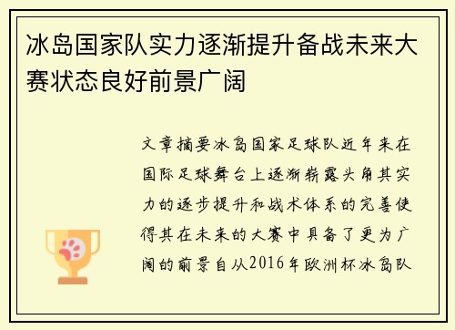 冰岛国家队实力逐渐提升备战未来大赛状态良好前景广阔