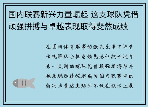 国内联赛新兴力量崛起 这支球队凭借顽强拼搏与卓越表现取得斐然成绩